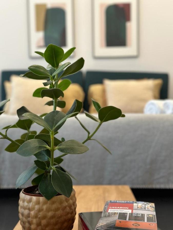Luxuoso Com Varanda Em Séjour chez l'habitant